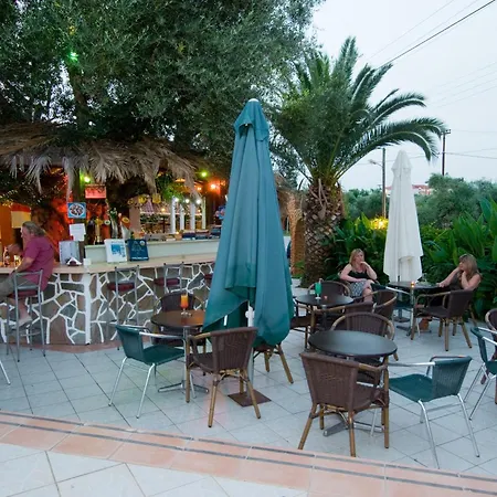 Callinica تسيليفي